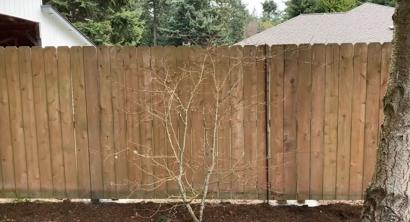 Natural wood privacy fence with quality craftsmanship